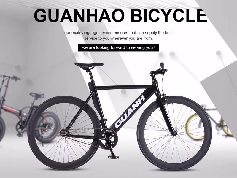 Bicicletas eléctricas
