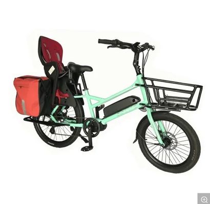 20 &quot;marco de aleación de magnesio Ananda Bafang MID Drive bicicleta eléctrica para la familia o la entrega de carga