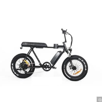 Cuadro de aleación de magnesio 2020 20 pulgadas de neumático de grasa bicicleta eléctrica de nieve crucero de playa EL-DN2011Z