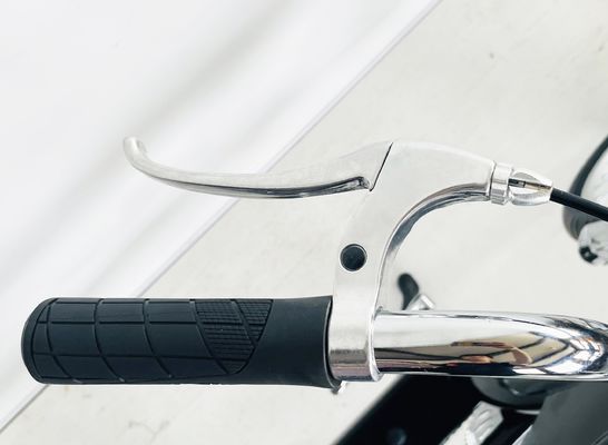 Peso bruto 25.0 KG 24-20 &quot;Bicicleta de chopper para adultos de velocidad única con tenedor de acero de OEM