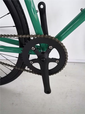 Colorido 700c de velocidad única Flip Flop Hub City Cruiser Urban Fixie Bike para adultos