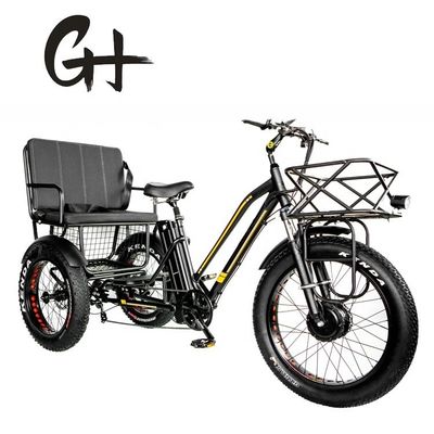 Rueda delantera de 24&quot; 48V 750W 45KM/H Carga máxima 300KG 21AH Batería de litio Triciclos eléctricos