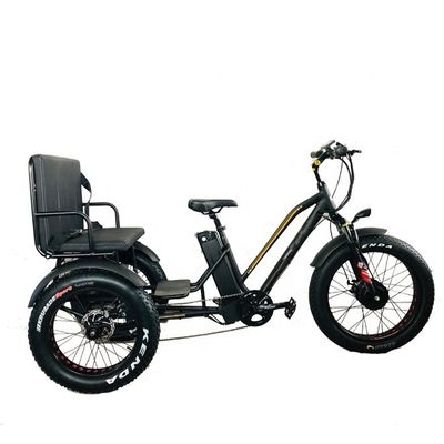 Rueda delantera de 24&quot; 48V 750W 45KM/H Carga máxima 300KG 21AH Batería de litio Triciclos eléctricos