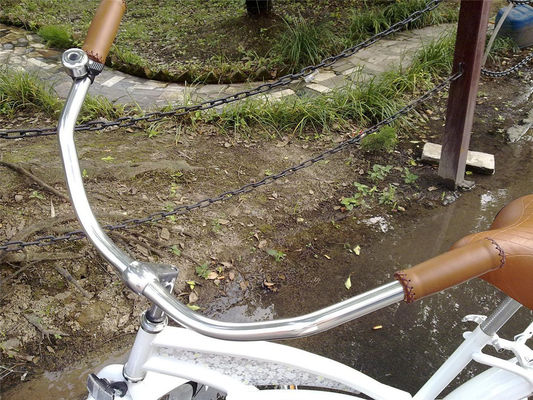 Logotipo personalizado Adultos Bicicletas híbridas de velocidad única de 26 pulgadas para mujeres Bicicleta de crucero de playa