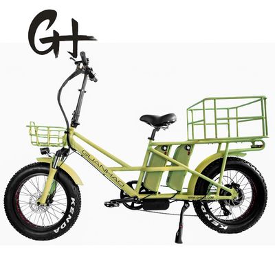 Freno de disco de 48V Baterías dobles Nieve grasa Gran neumático Carga eléctrica Bicicletas para familia 2
