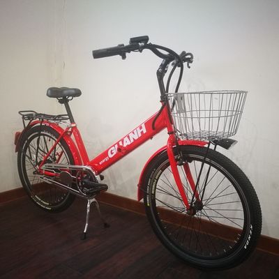 36V 9Ah 250W Torque 80-90 Nm 25KM/H Bicicleta de carga eléctrica de acero Hi-Ten para entrega de alimentos