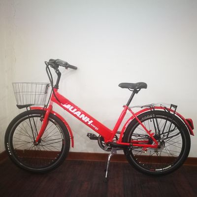 36V 9Ah 250W Torque 80-90 Nm 25KM/H Bicicleta de carga eléctrica de acero Hi-Ten para entrega de alimentos