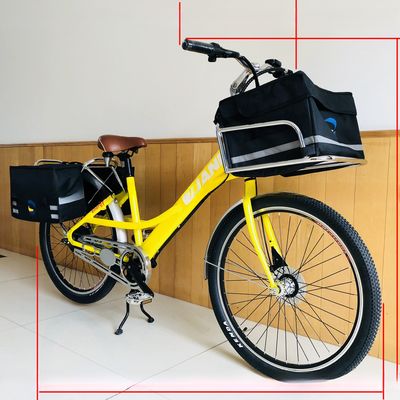 36V 9Ah 250W Torque 80-90 Nm 25KM/H Bicicleta de carga eléctrica de acero Hi-Ten para entrega de alimentos