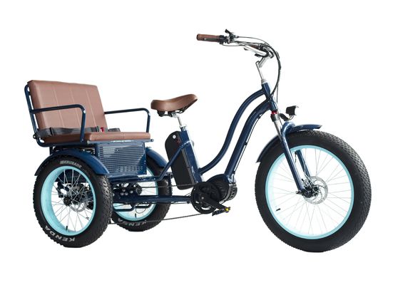 Rickshaw eléctrico con batería de litio de 48V 750W 17AH y neumático de grasa grande