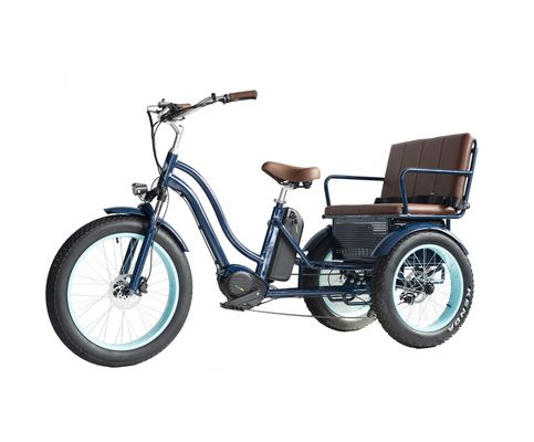 Rickshaw eléctrico con batería de litio de 48V 750W 17AH y neumático de grasa grande