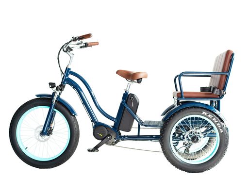 Rickshaw eléctrico con batería de litio de 48V 750W 17AH y neumático de grasa grande