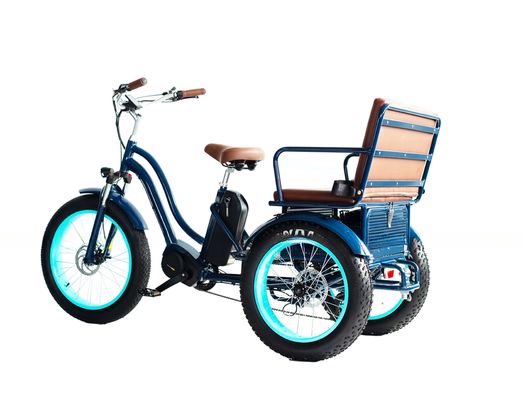 Rickshaw eléctrico con batería de litio de 48V 750W 17AH y neumático de grasa grande
