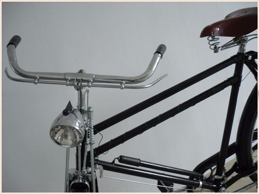 Bicicleta holandesa de estilo clásico para hombres con freno de montaña y tipo de pedal ordinario