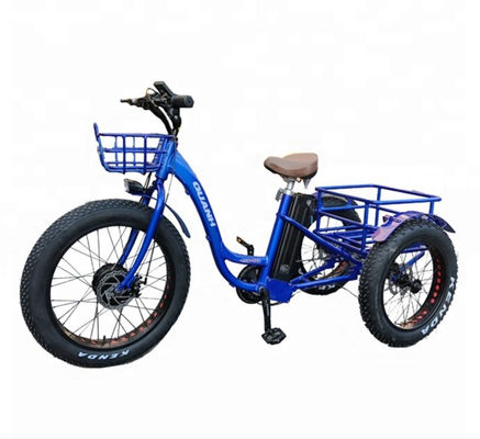 Triciclo eléctrico de carga de 750W con batería de litio y alcance de 31-60 km