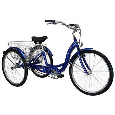 Triciclo eléctrico de carga de 750W con batería de litio y alcance de 31-60 km