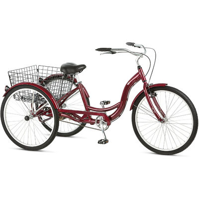 Triciclo eléctrico de carga de 750W con batería de litio y alcance de 31-60 km