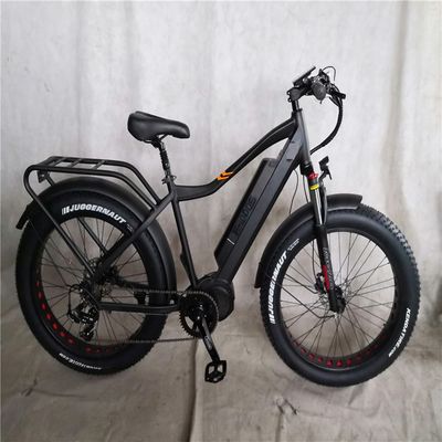 1000W Bafang Motor de Accionamiento Medio de aleación trasera Central de Bicicleta Eléctrica con estándares