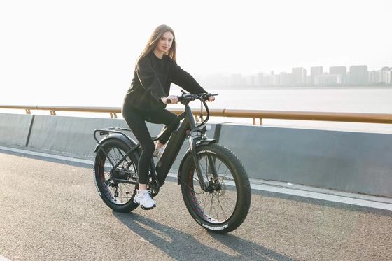 1000W Bafang Motor de Accionamiento Medio de aleación trasera Central de Bicicleta Eléctrica con estándares