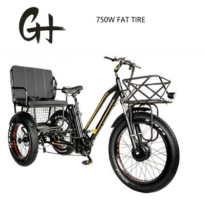 Bafang 750W Motor Triciclo eléctrico con neumático de grasa E Tres ruedas y asiento de pasajero