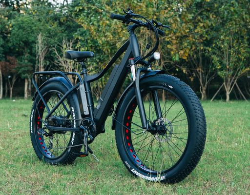 48V 1000W 17AH Batería de litio OEM EN15194 CE Bicicleta de montaña de neumáticos de grasa eléctrica MTB personalizada