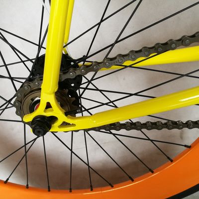 Aprobada por la CE 700C 80MM Bicicleta de aro grande colorida de velocidad única de engranaje fijo con tallo de aleación de 1.6m