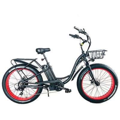 26" 750W 48V 20MPH OEM 21AH UL2849 Mujeres adultas Lady Beach Cruiser eléctrica Gran neumático de nieve de 4.0 grasa