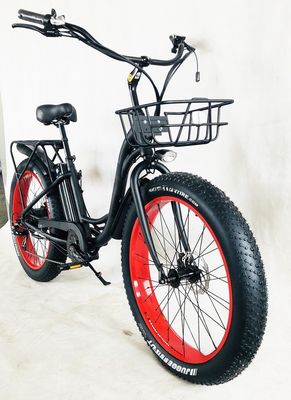 26" 750W 48V 20MPH OEM 21AH UL2849 Mujeres adultas Lady Beach Cruiser eléctrica Gran neumático de nieve de 4.0 grasa