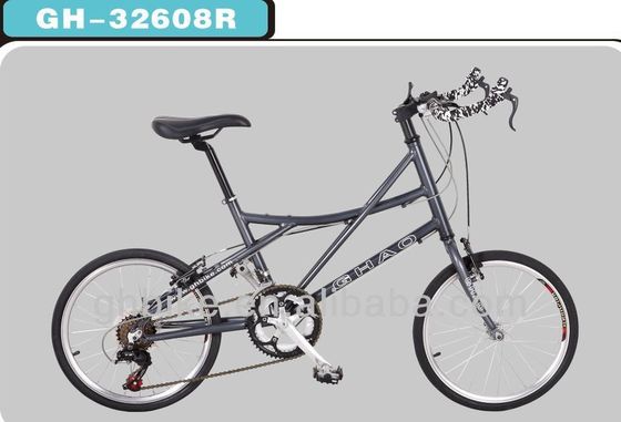 14 velocidad 20 pulgadas Mini Road Bike Bicicleta con doble borde de aluminio de pared y plegable