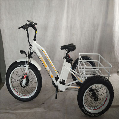Bicicleta eléctrica de 750W 3 ruedas neumático de grasa para adultos E trike carga par de 70-80 Nm frenos de disco