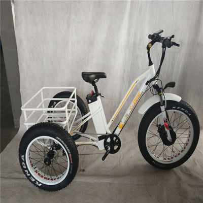 Bicicleta eléctrica de 750W 3 ruedas neumático de grasa para adultos E trike carga par de 70-80 Nm frenos de disco