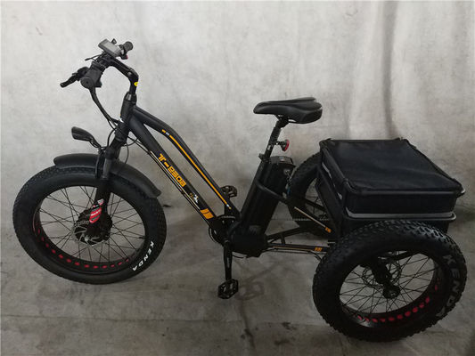Bicicleta eléctrica de 750W 3 ruedas neumático de grasa para adultos E trike carga par de 70-80 Nm frenos de disco