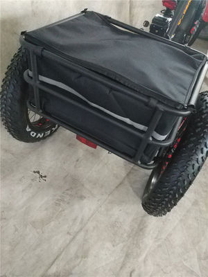 Bicicleta eléctrica de 750W 3 ruedas neumático de grasa para adultos E trike carga par de 70-80 Nm frenos de disco