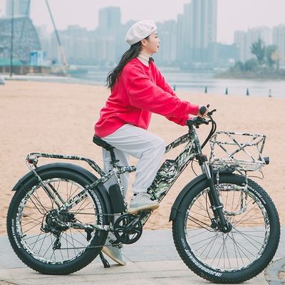 Motor Bafang de 52V 1000W 17AH Litio 55KM/H Centro trasero Neve neumático graso bicicleta eléctrica de montaña