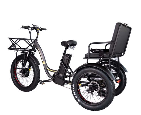 Triciclo eléctrico de aluminio ligero 48V 750W 21AH 50KM/H para pasajero adulto