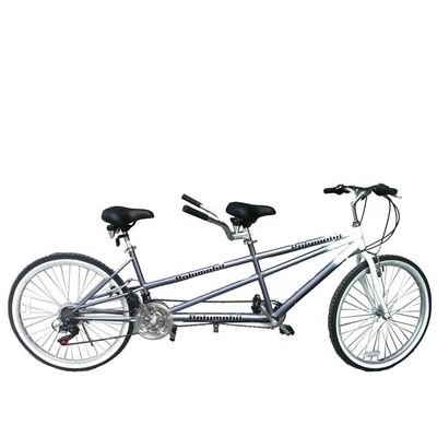 26 pulgadas 18 velocidad montaña minorista 20% de descuento CE OEM EN14764 doble persona bicicleta tándem