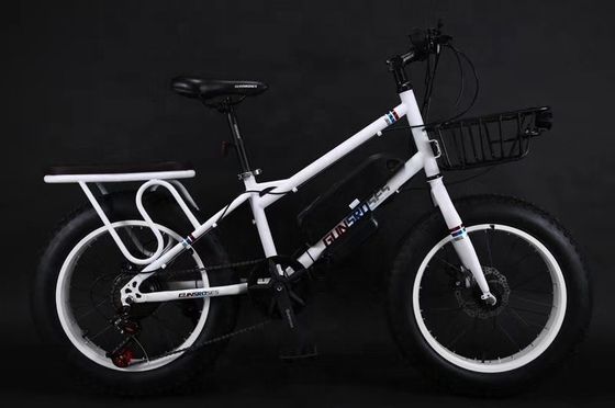 20" 500W 48V13AH OEM/ODM EN15194 Bicicleta eléctrica con freno de disco para diversión al aire libre de niños pequeños
