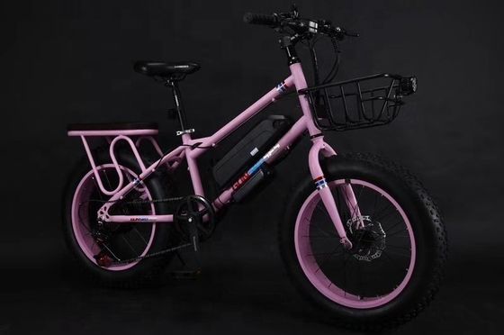 20" 500W 48V13AH OEM/ODM EN15194 Bicicleta eléctrica con freno de disco para diversión al aire libre de niños pequeños