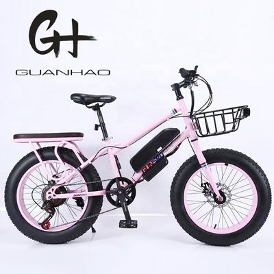 20" 500W 48V13AH OEM/ODM EN15194 Bicicleta eléctrica con freno de disco para diversión al aire libre de niños pequeños