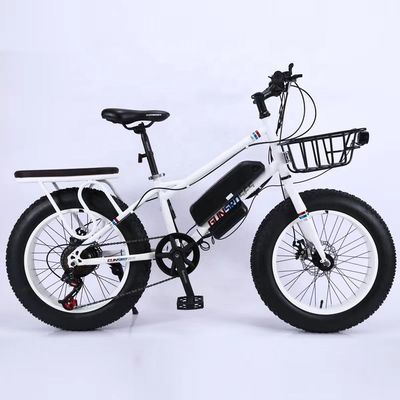 20" 500W 48V13AH OEM/ODM EN15194 Bicicleta eléctrica con freno de disco para diversión al aire libre de niños pequeños