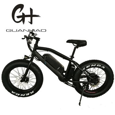 Bicicleta de montaña eléctrica de neumáticos de nieve de 20 pulgadas con motor de 48V 750W y batería de litio de 14AH