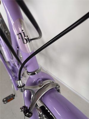 KMC Chain 26 pulgadas Europa OEM CE Shimano 7 velocidades Mujeres Lady City Bicicleta 1.8m longitud