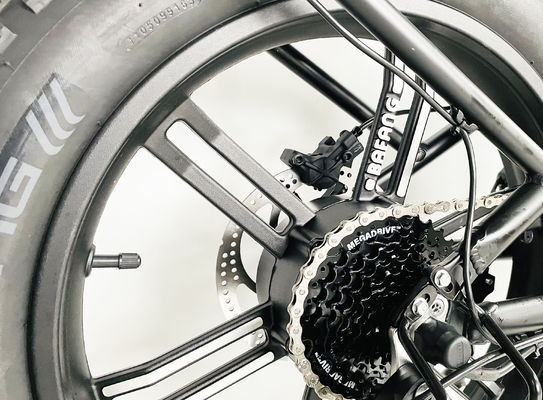 Crank de aleación de 7 velocidades engranajes neumático graso E-bike plegable con batería de litio de 21A y motor de 750W