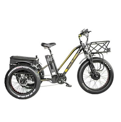 Freno de disco 750W Triciclo eléctrico de carga neumático de grasa de 3 ruedas E Trike para viajes de larga distancia