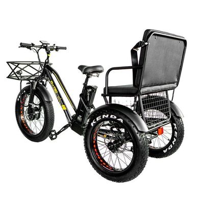 Freno de disco 750W Triciclo eléctrico de carga neumático de grasa de 3 ruedas E Trike para viajes de larga distancia
