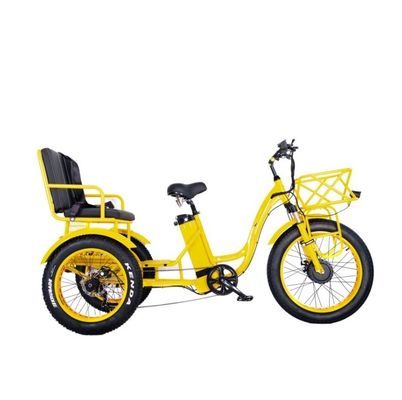 Freno de disco 750W Triciclo eléctrico de carga neumático de grasa de 3 ruedas E Trike para viajes de larga distancia