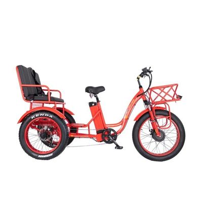 Freno de disco 750W Triciclo eléctrico de carga neumático de grasa de 3 ruedas E Trike para viajes de larga distancia
