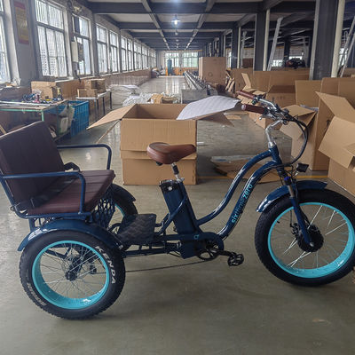 Rickshaw eléctrico de 750W con portacargas de aluminio y asiento de pasajero