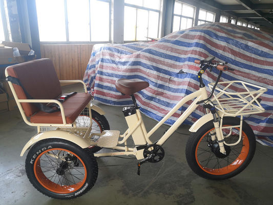 Rickshaw eléctrico de 750W con portacargas de aluminio y asiento de pasajero