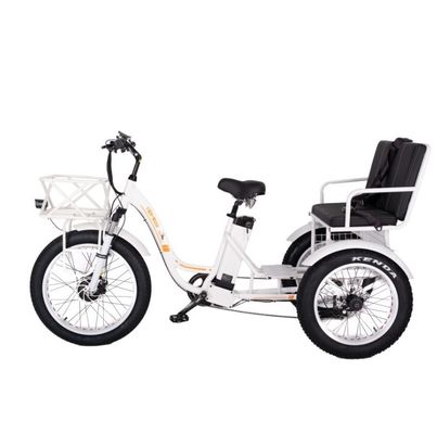 48V E Trike 3 ruedas 750 Watt de grasa de neumáticos Rickshaw con Bafang 750W motor y rendimiento