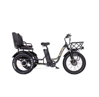 48V E Trike 3 ruedas 750 Watt de grasa de neumáticos Rickshaw con Bafang 750W motor y rendimiento